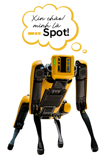 spot-card